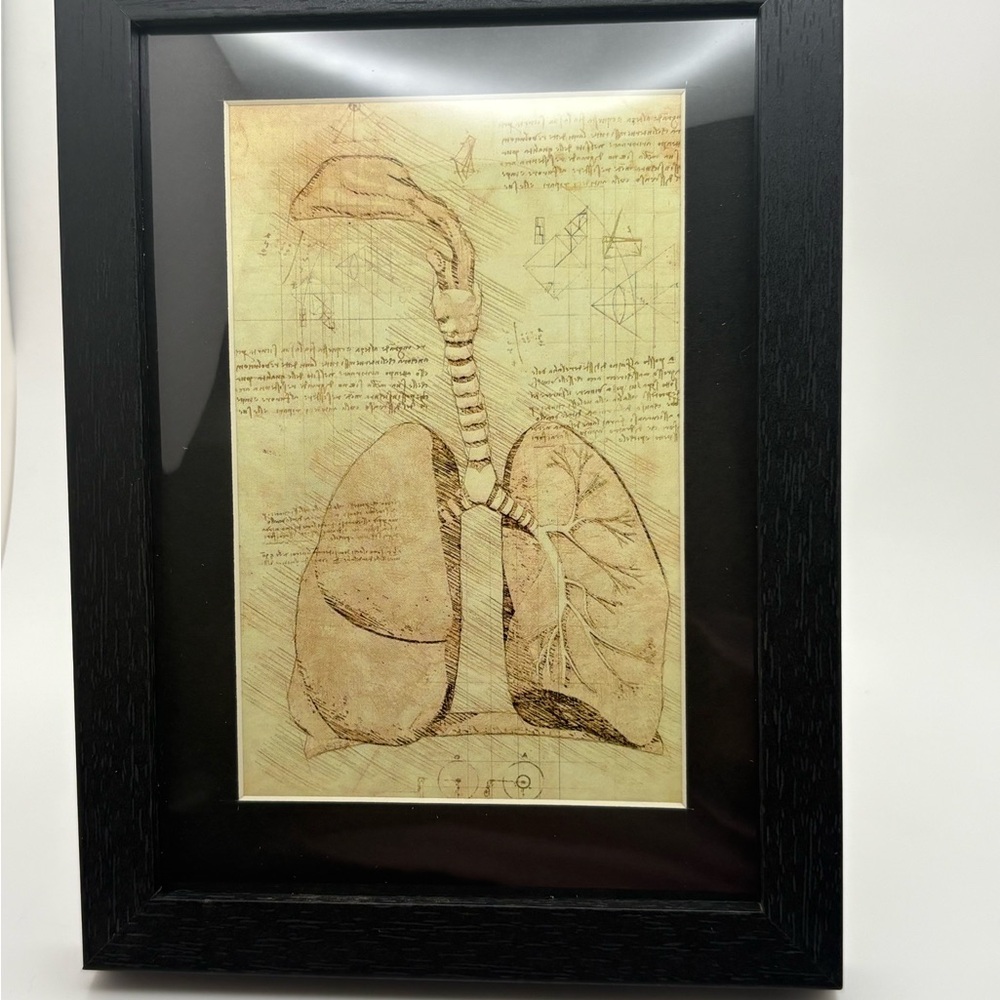 🖤 Vintage Anatomy Lung Art Print | 5x7 | New 🖤